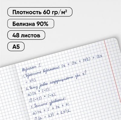 Комплект предметных тетрадей 48 листов "Хочу все знать!", эконом, 10 штук – фото 12
