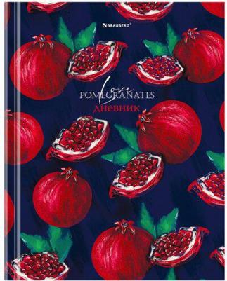 Дневник 5-11 класс 48 листов, глянцевая ламинация, с подсказом, "Гранаты" – фото 6