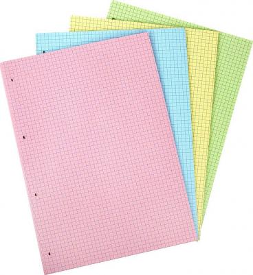 Сменный блок к тетради на кольцах большой формат А4, 120 л.,, 404519