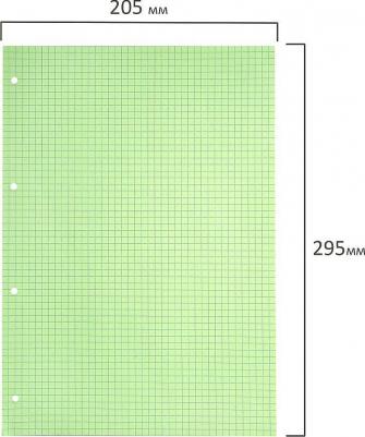 Сменный блок к тетради на кольцах большой формат А4, 120 л.,, 404519 – фото 1