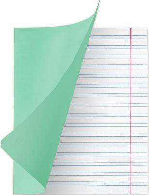 Тетрадь 12л. Комплект 20шт великие имена крылов И.А., узкая линия, бумага 80г/м2, 880020 – фото 6