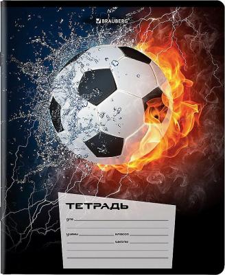 Тетрадь для школы тонкая 12 листов Комплект 10 штук, клетка, обложка картон, Футбол, 106666 – фото 6