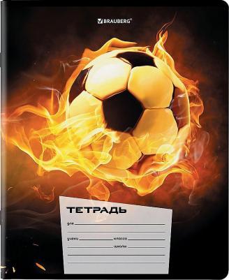Тетрадь для школы тонкая 12 листов Комплект 10 штук, клетка, обложка картон, Футбол, 106666 – фото 10