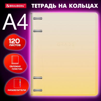 Тетрадь на кольцах БОЛЬШАЯ 305х230мм А4 120л – фото 1