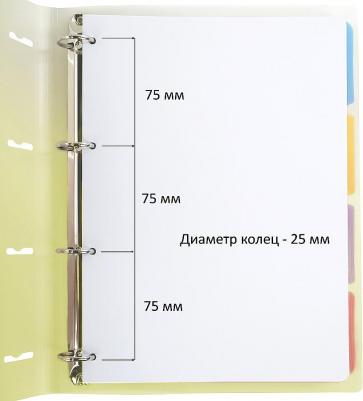 Тетрадь на кольцах БОЛЬШАЯ 305х230мм А4 120л – фото 6