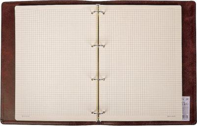 Тетрадь на кольцах БОЛЬШАЯ А4 240х310 мм 120 л – фото 7