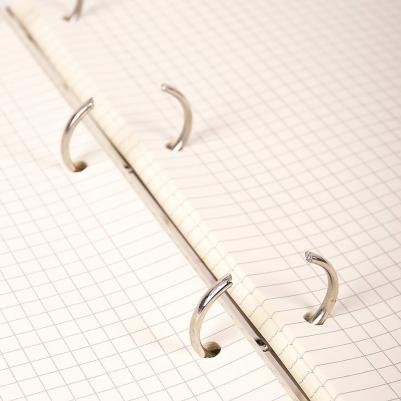 Тетрадь на кольцах БОЛЬШАЯ А4 240х310 мм 120 л – фото 9