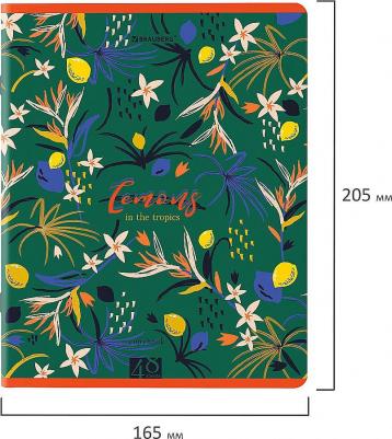 Тетради Lemons – фото 6