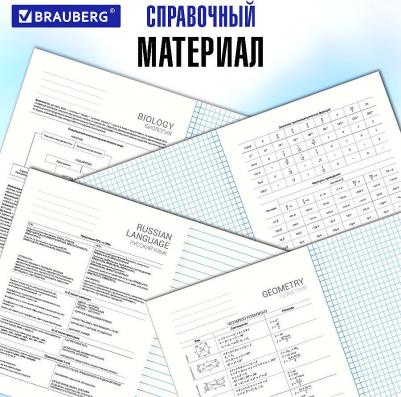 Тетради предметные КОМПЛЕКТ 12 ПРЕДМЕТОВ 4606224420332 – фото 4