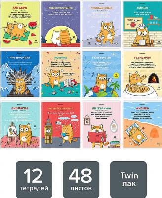 Тетради предметные, комплект 12 предметов, "Кот-энтузиаст", 48 листов, twin-лак – фото 2