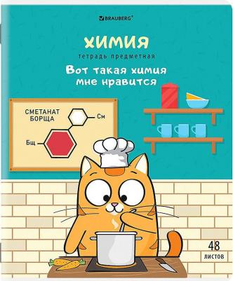Тетради предметные, комплект 12 предметов, "Кот-энтузиаст", 48 листов, twin-лак – фото 3