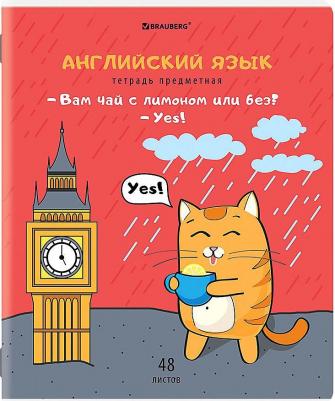 Тетради предметные, комплект 12 предметов, "Кот-энтузиаст", 48 листов, twin-лак – фото 4