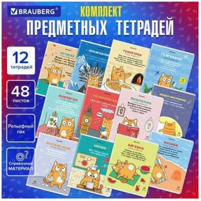 Тетради предметные, комплект 12 предметов, "Кот-энтузиаст", 48 листов, twin-лак – фото 7
