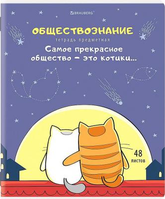 Тетради предметные, комплект 12 предметов, "Кот-энтузиаст", 48 листов, twin-лак – фото 9