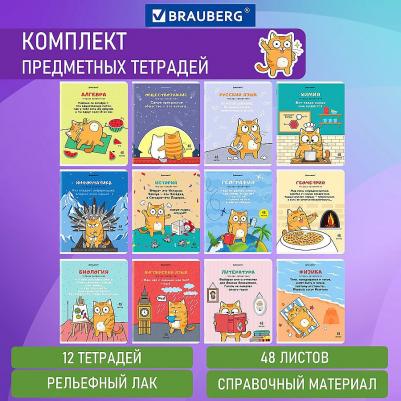 Тетради предметные, комплект 12 предметов, "Кот-энтузиаст", 48 листов, twin-лак