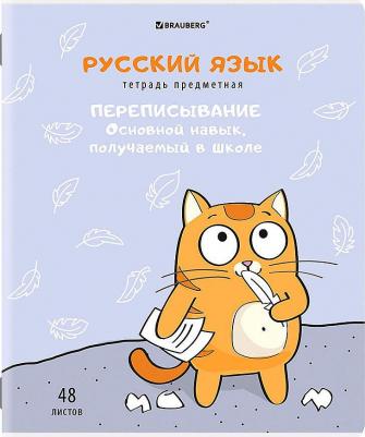 Тетради предметные, комплект 12 предметов, "Кот-энтузиаст", 48 листов, twin-лак – фото 13