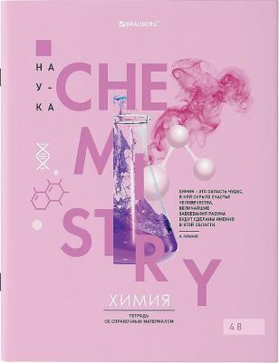 Тетради предметные со справочным материалом, комплект 12 предметов, "Vision", 48 листов, обложка картон – фото 4