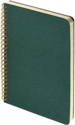 Тетрадь Pragmatic. 60 листов, клетка, зеленый – фото 1