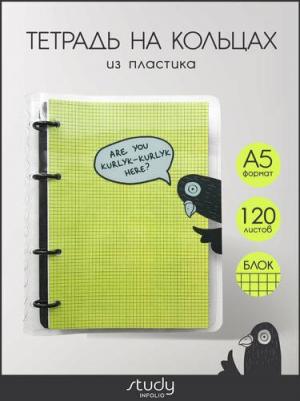 Тетрадь общая со сменным блоком "Pigeon", 173х212 мм, 120 листов, клетка – фото 3