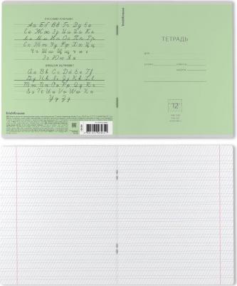 Тетрадь школьная Классика зеленая, 12 листов, частая косая линейка – фото 3