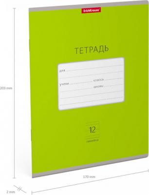 Тетрадь школьная ученическая 12 листов, линейка "Классика. Bright", зеленая – фото 3
