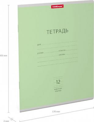 Тетрадь школьная ученическая Классика зеленая, 12 листов, крупная клетка, арт. 35186 – фото 3