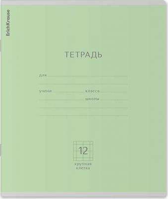 Тетрадь школьная ученическая Классика зеленая, 12 листов, крупная клетка, арт. 35186 – фото 8