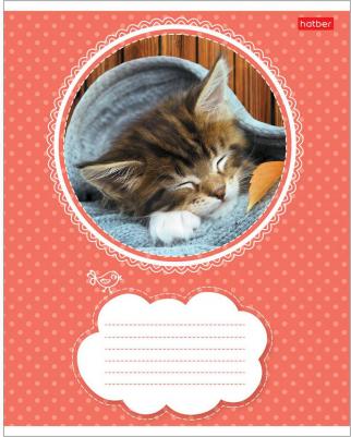 Тетрадь 18л А5ф линия на скобе серия -Котята- 012312 – фото 1