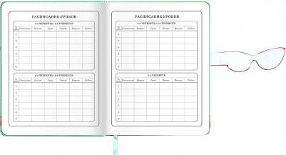 Дневник 1-4 класс 48 л., обложка кожзам, застежка, Корги в Очках, 106210, комплект 2 шт – фото 6