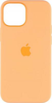 Чехлы Чехол MagSafe для iPhone 13 mini, силикон, "зелёный клевер"