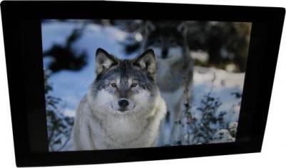 E-21A – фото 2