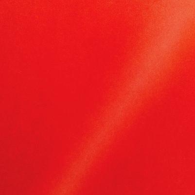 Цветная бумага мелованная Смешные животные, А4, 24 листа, 24 цвета – фото 1