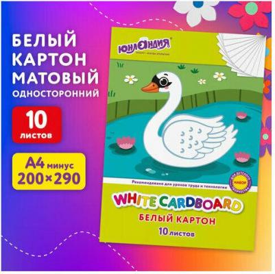 Картон белый А4 немелованный 10 листов в папке – фото 5