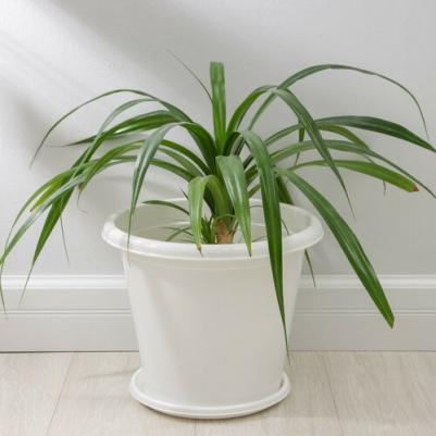 Эконом горшок с поддоном 10л d40 h30см белый /18