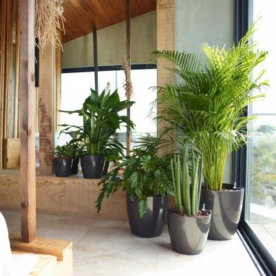 Цветочный горшок San Remo Pot антрацит – фото 5