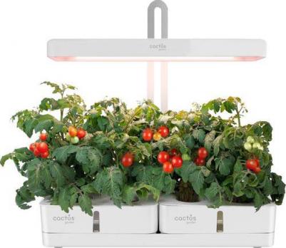 Гидропонная установка Garden 3.0л 20 белый (CS-LEDPOT-08) – фото 2