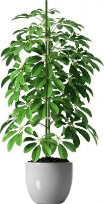 Опора для растений металлическая в пластике, 120 см – фото 2