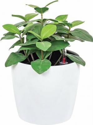 Цветочное кашпо Анфа со вставкой и автополивом М 3232 6 л белый 1 шт