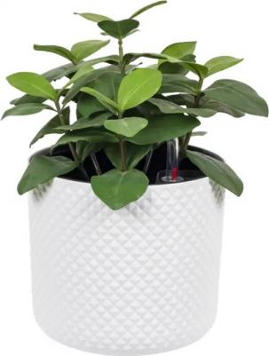 Кашпо М 3237 с вставкой и с автополивом Белый – фото 8