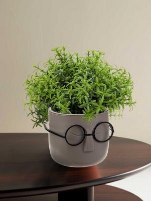 Кашпо Стив со вставкой, d 11,5 – фото 10