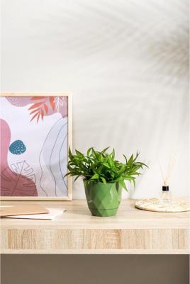 Горшок для цветов с поддоном Laurel, 1,3 л, d=14,5 см, h=12,5 см, цвет зелёный 4690290105361 – фото 1