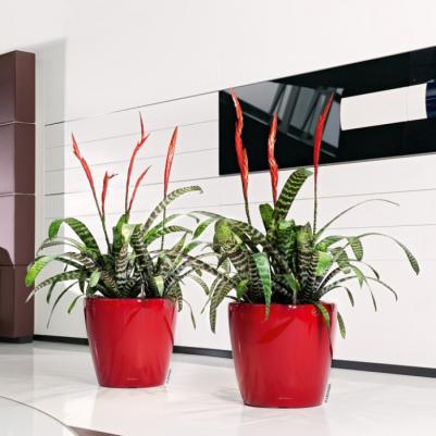 Цветочный горшок Классико с системой полива и съемным горшком 6 л красный 1 шт – фото 3