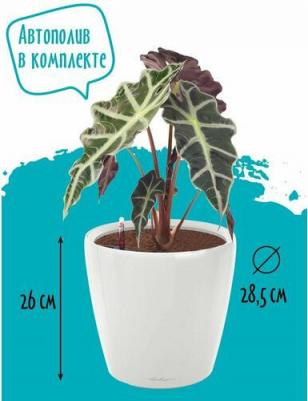 Цветочное кашпо Classico ls с автополивом 7 л антрацит 1 шт – фото 4