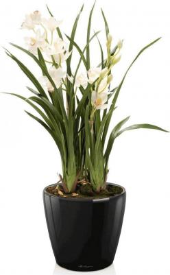 Кашпо с автополивом CLASSICO Premium 28 LS черное D28 H26 см – фото 1