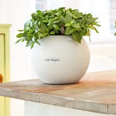 Кашпо с автополивом Пуро белое (20х20х16 см) – фото 6