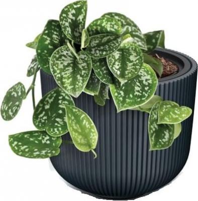 Цветочное кашпо Milly со вставкой PPDBML350-S433 15 л темно-серый 1 шт – фото 1