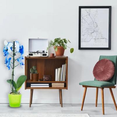 Горшок цветочный для орхидей ?15 h13.5 см v1.4 л пластик светло-зелёный – фото 1