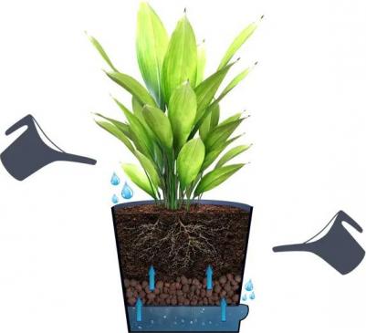 Горшок цветочный для орхидей ?19.5 h17 см v2.8 л пластик прозрачный – фото 1