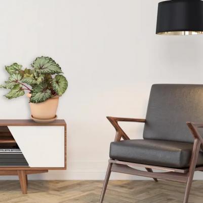 Горшок цветочный Жардин ?25 h20 см v5.5 л пластик золотой – фото 1