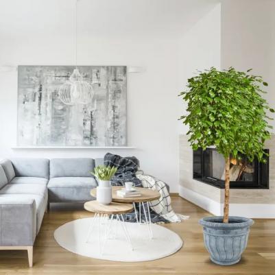 Горшок-кашпо цветочный Grapes ?62 h58 см v70 л пластик графит – фото 1